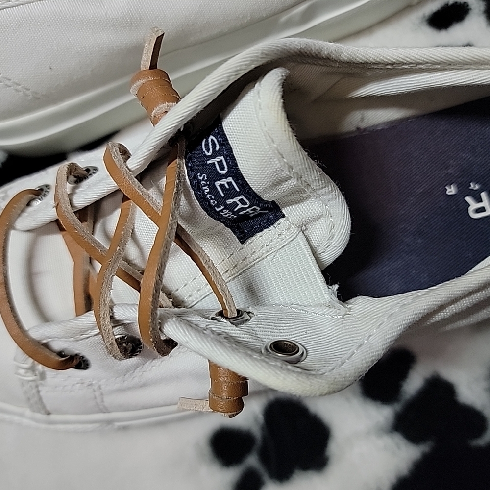 Sperry Women's White Canvas Sneakers - Picture 5 of 6